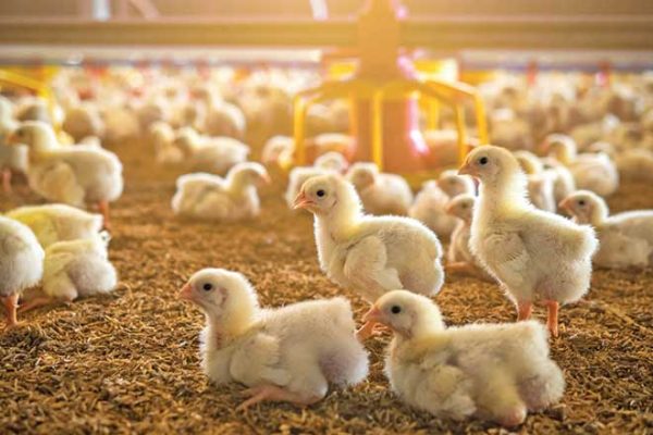 660px-1.-Screenshot-2024-05-20-at-1.00.56 PM industry